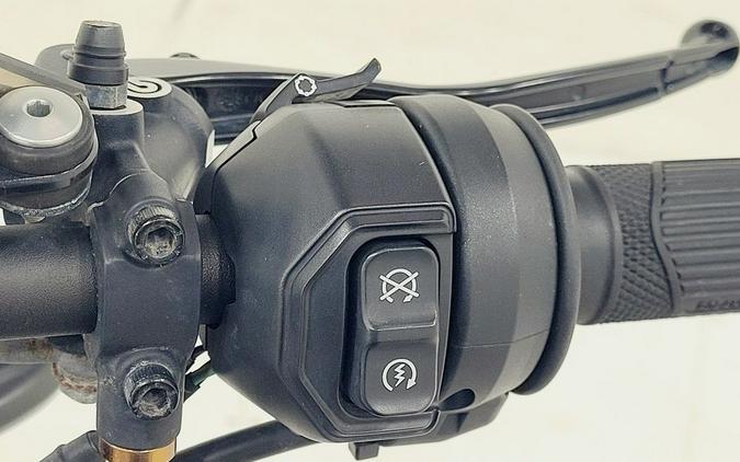 2019 Indian Motorcycle® N19RTS25AC