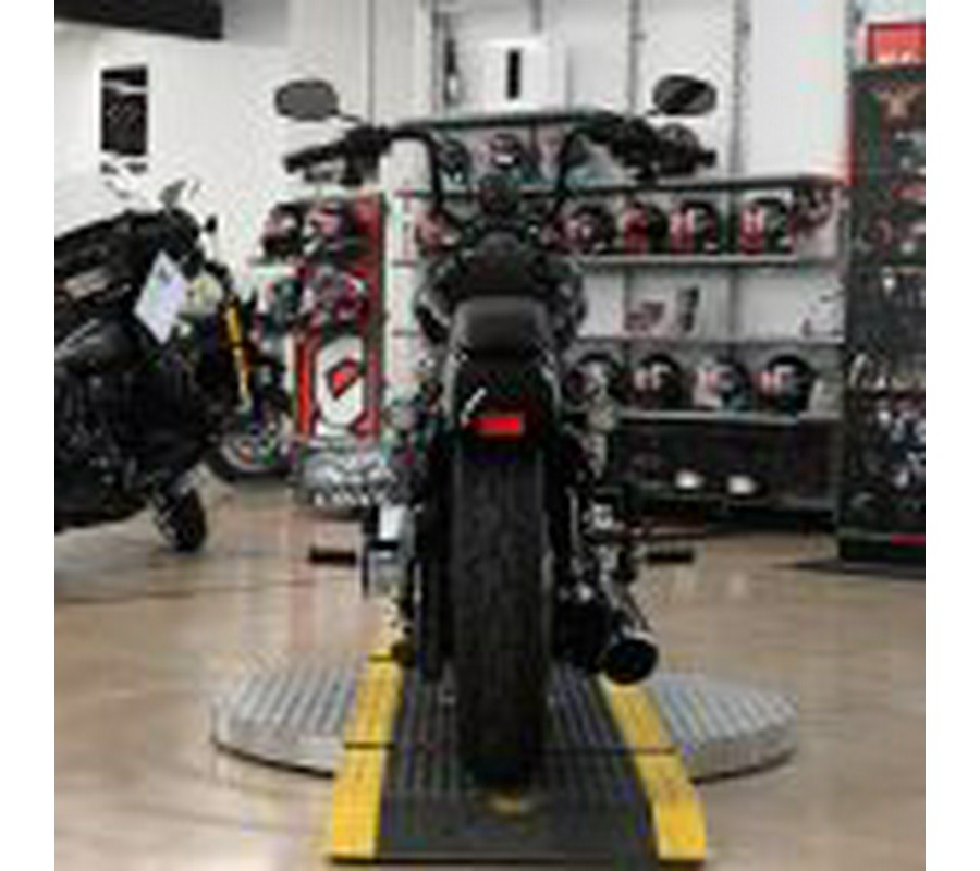 2025 Harley Davidson Street Bob