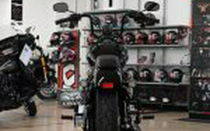 2025 Harley Davidson Street Bob