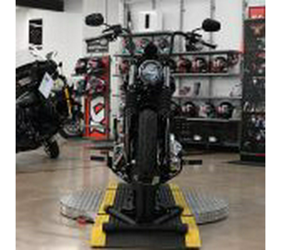 2025 Harley Davidson Street Bob