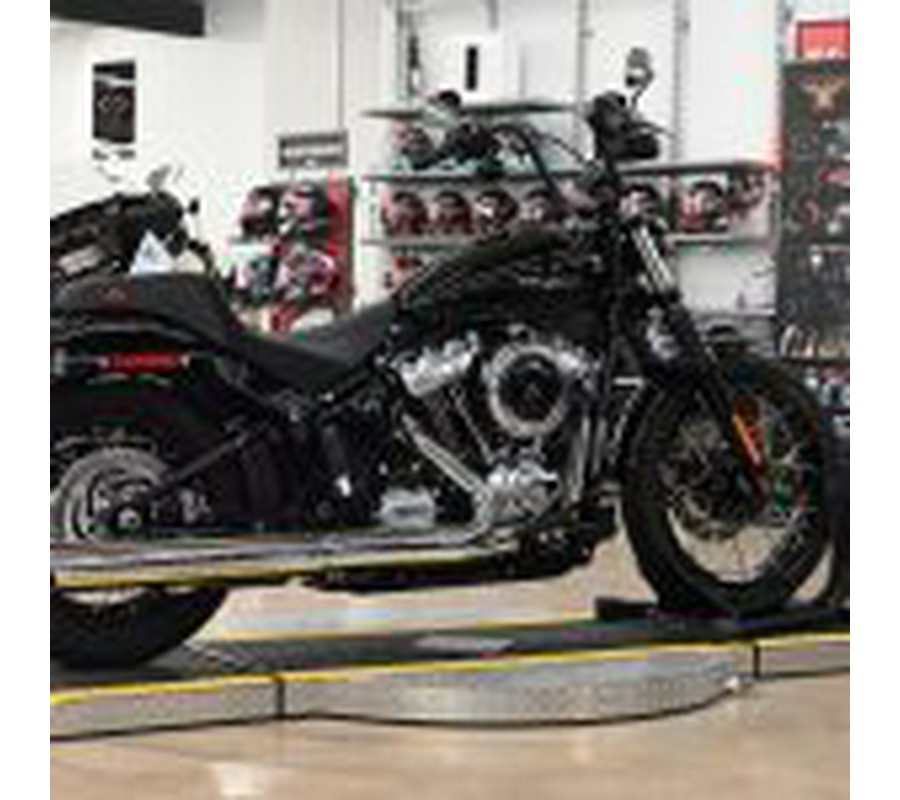 2025 Harley Davidson Street Bob