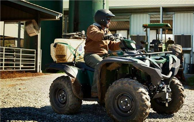 2017 Yamaha Motor Corp., USA Grizzly EPS