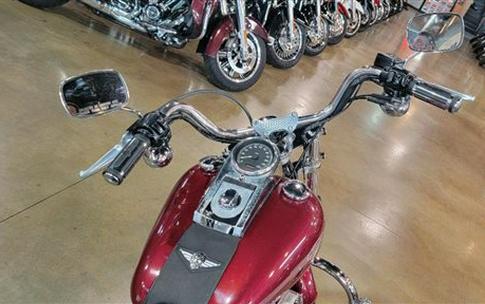 2001 Harley-Davidson Softail Standard (EFI)