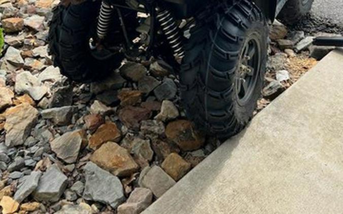 2023 Kawasaki Brute Force 750 4x4i EPS