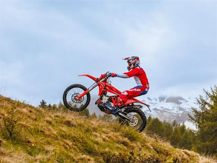 2026 Beta 390 RR X-Pro