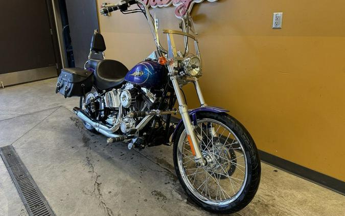 2009 Harley-Davidson Softail FXSTC - Custom