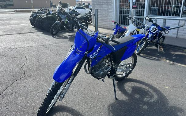 2025 Yamaha TT-R 230