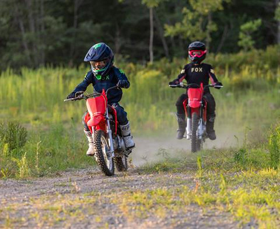 2027 Honda CRF110F