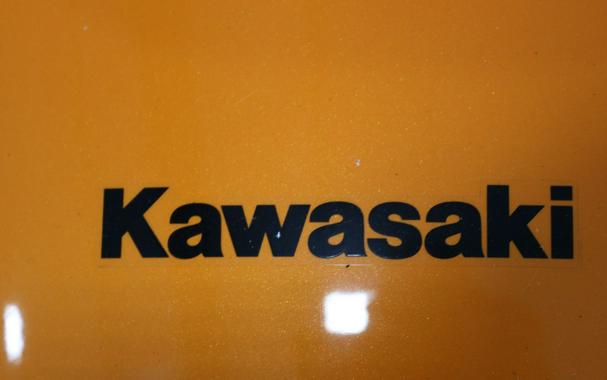 2024 Kawasaki Eliminator SE ABS