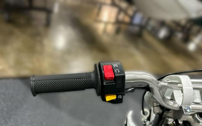 2026 Kawasaki KLX 110R