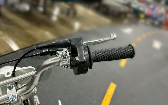 2026 Kawasaki KLX 110R