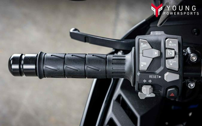 2025 Kawasaki Ninja ZX-10R KRT Edition