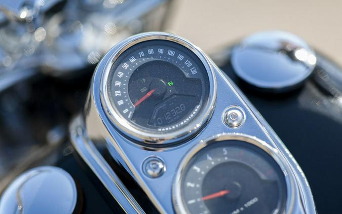 2019 Harley-Davidson Softail FXLR - Low Rider