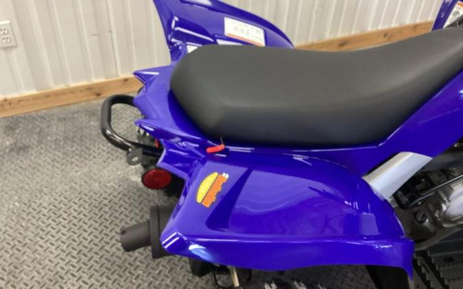 2024 Yamaha Raptor 110