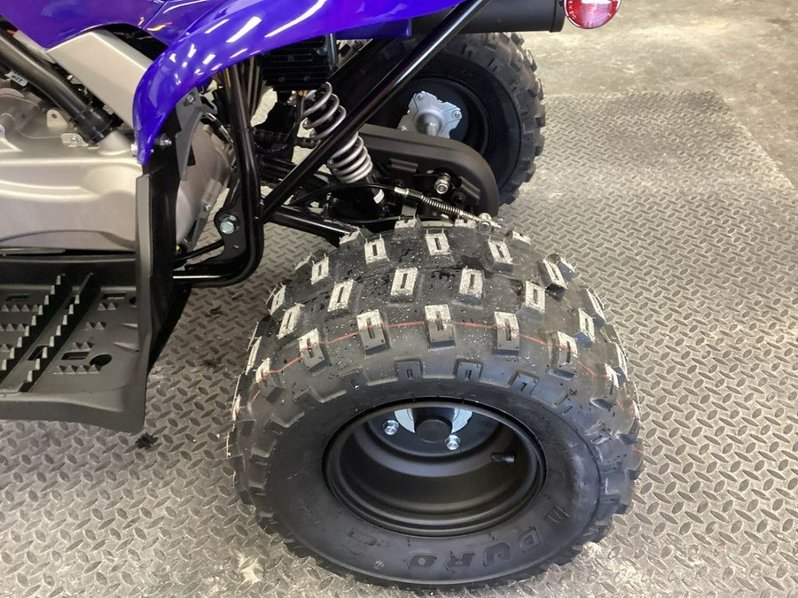 2024 Yamaha Raptor 110