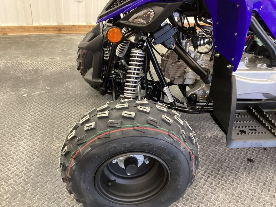 2024 Yamaha Raptor 110