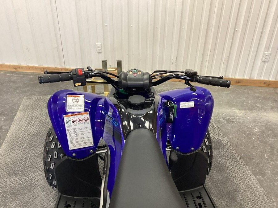 2024 Yamaha Raptor 110