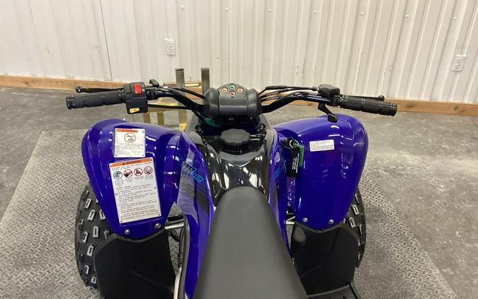 2024 Yamaha Raptor 110