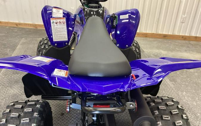 2024 Yamaha Raptor 110