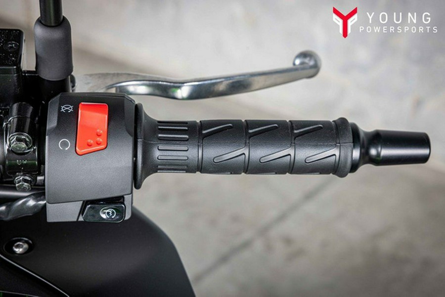 2025 Kawasaki Versys-X 300 ABS