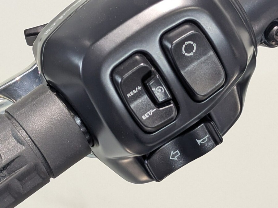 2025 Harley-Davidson® Fat Boy® Gray Ghost Reflection