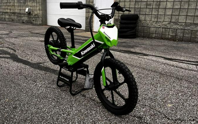 2023 Kawasaki Elektrode