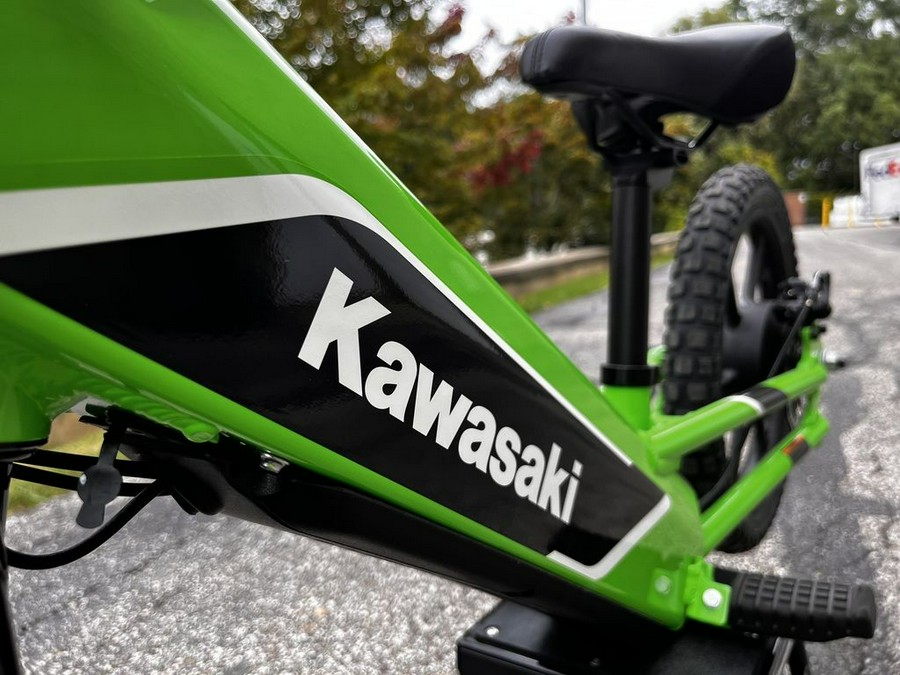 2023 Kawasaki Elektrode