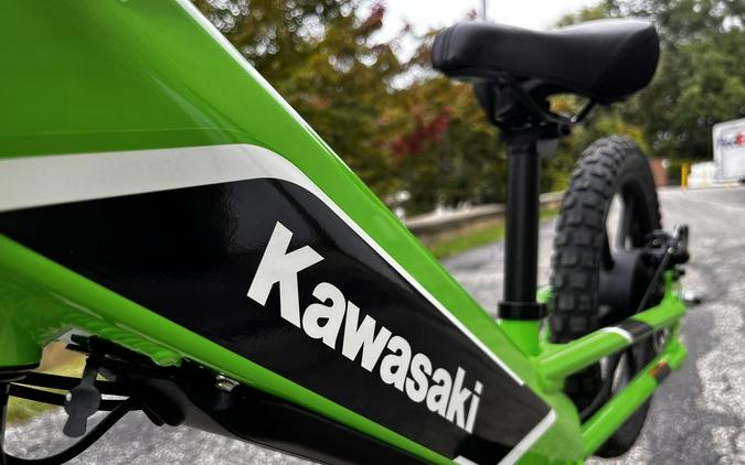 2023 Kawasaki Elektrode