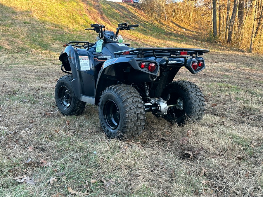 2025 Kawasaki Brute Force 300