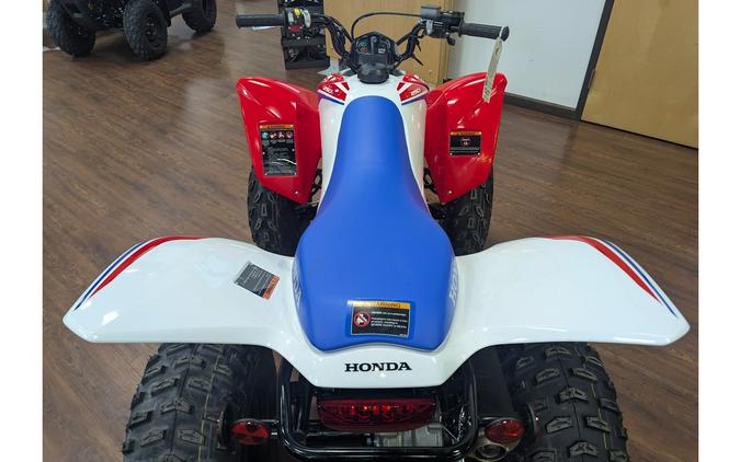 2026 Honda TRX® 250X