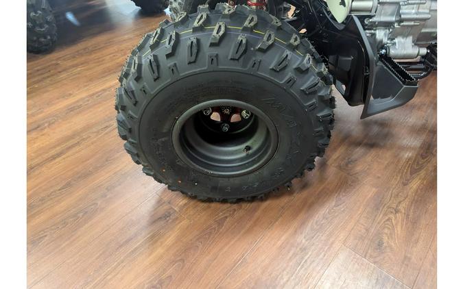 2026 Honda TRX® 250X