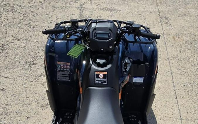 2026 Kawasaki Brute Force® 300