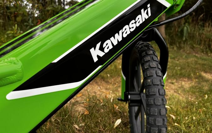 2023 Kawasaki Elektrode