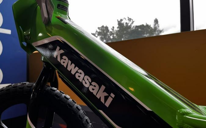 2023 Kawasaki Elektrode