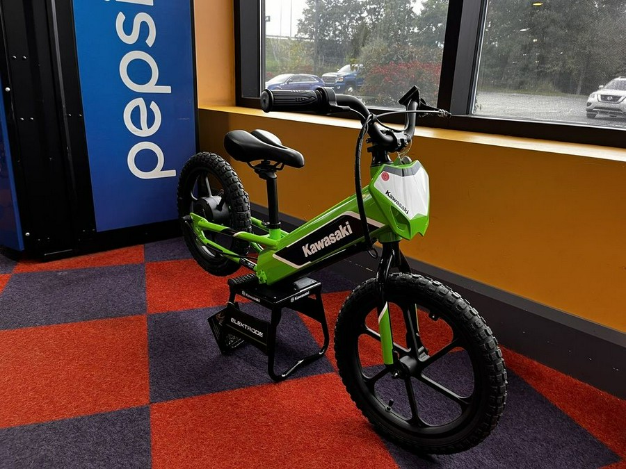 2023 Kawasaki Elektrode