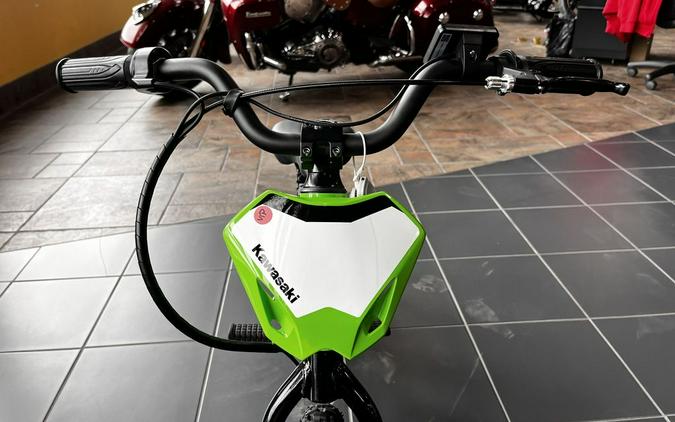 2023 Kawasaki Elektrode