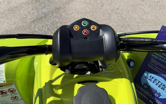 2026 Yamaha Raptor 110