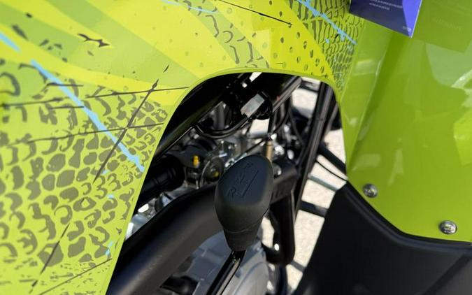 2026 Yamaha Raptor 110