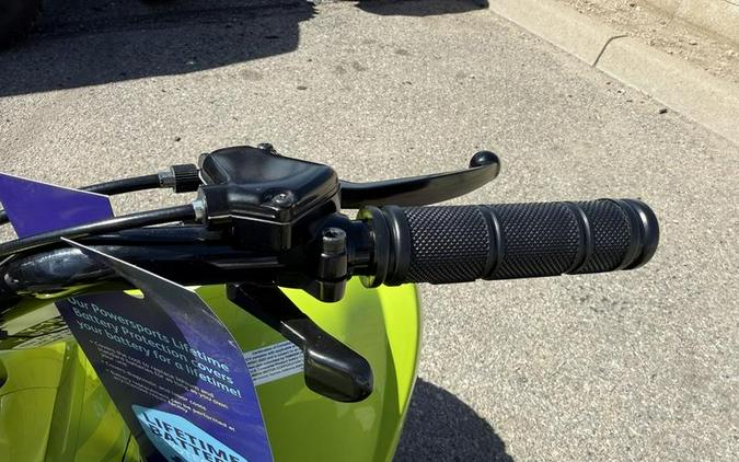 2026 Yamaha Raptor 110