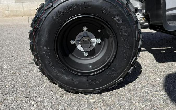 2026 Yamaha Raptor 110