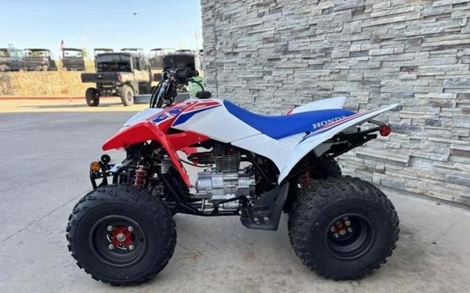 2026 Honda TRX 250X