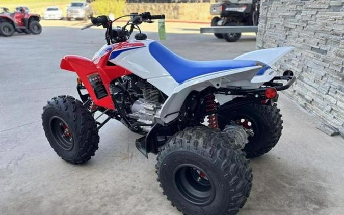 2026 Honda TRX 250X