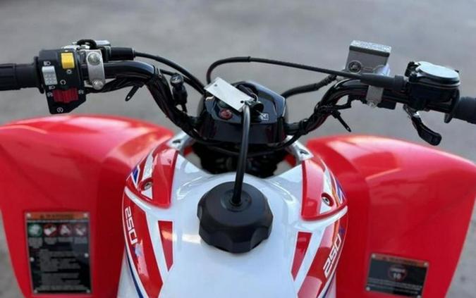 2026 Honda TRX 250X