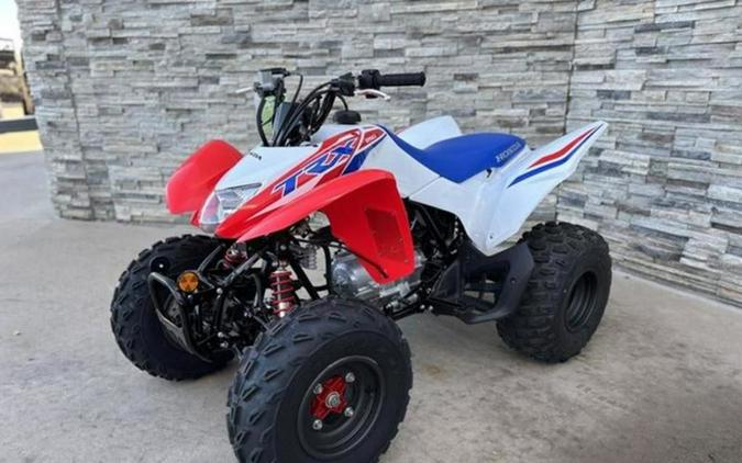 2026 Honda TRX 250X