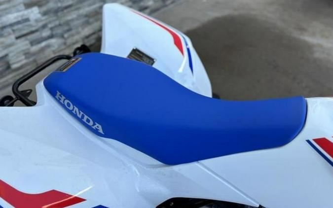 2026 Honda TRX 250X