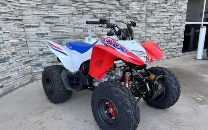 2026 Honda TRX 250X