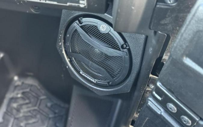 2025 Kawasaki Teryx4™ S SE