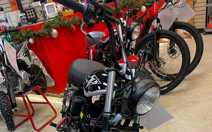 2025 TrailMaster Hurricane 200X