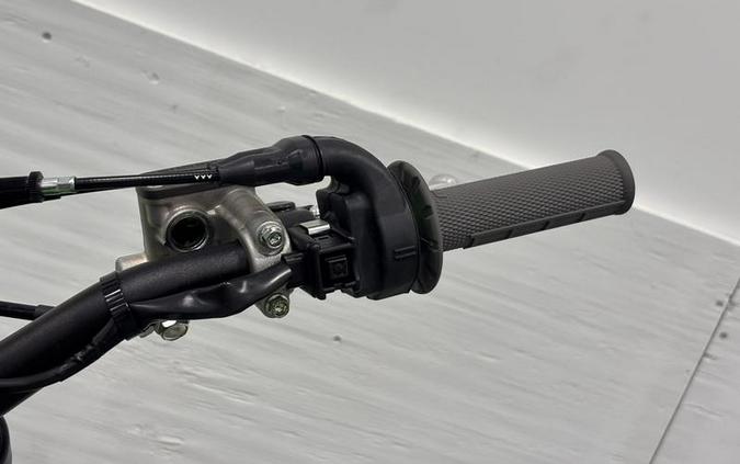 2026 Kawasaki KX™250X