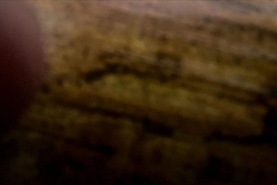 2026 CFMOTO UFORCE 800 XL CF800UZ-4